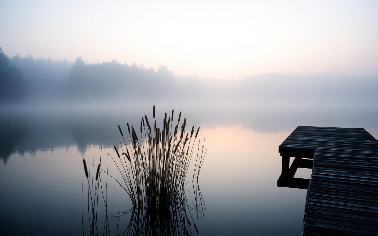 A calm forest lake at misty dawn with reeds and a wooden jetty